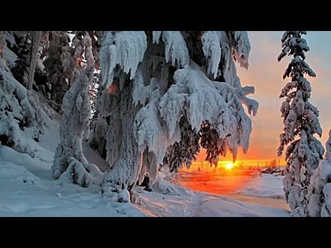 Видео: "Сборник Музыки для души: Инструментальный релакс для вашего настроения" #КРАСИВАЯМУЗЫКА
