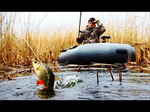 Видео: ЗИМНИЙ КАРАСЬ🐟 в КАМЫШЕ 🌾 плотва, красноперка.