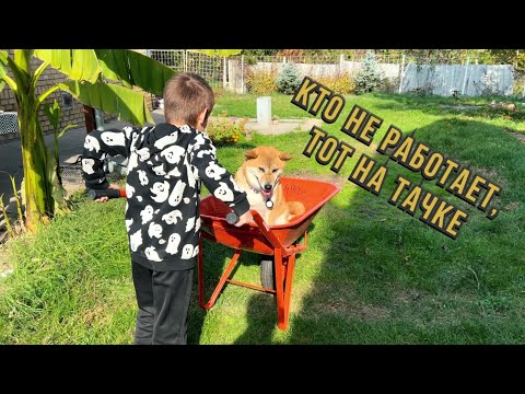 Видео: Пришли счета/пол под печь/ подработка #домвсербии#жизньвселе#переездвсербию #serbia #renovation