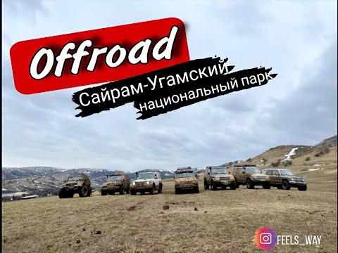 Видео: «Остались только стойкие» Surf на 42х, Pajero2, Гелик, Галлопер