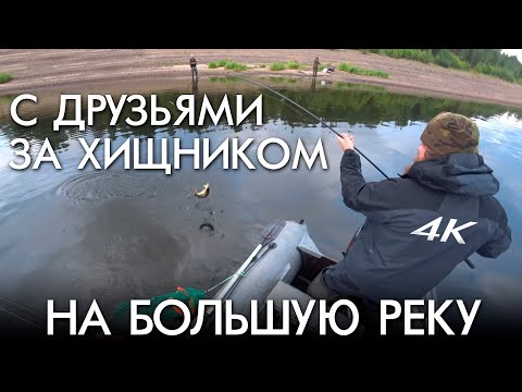 Видео: С ДРУЗЬЯМИ ЗА ХИЩНИКОМ НА БОЛЬШУЮ РЕКУ