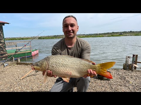 Видео: Рыбалка на Днестре в августе в Маяках. Монстры рвут снасти!
