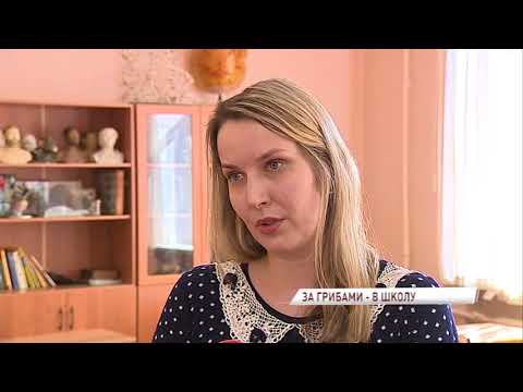 Видео: Катастрофы нет, есть научное чудо: преподаватели объяснили появление грибов в 71 школе