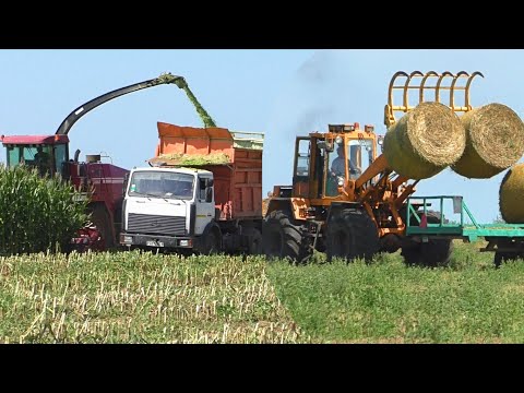 Видео: Заготовка силоса FS8060 / Погрузка тюков Амкодором.