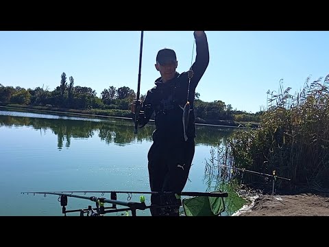 Видео: Чудова рибалочка та батл прикормок!