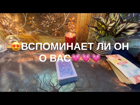 Видео: 12 ноября 2025 г.