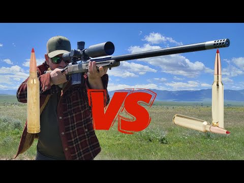Видео: 300 Win Mag против 300 PRC | Что лучше?