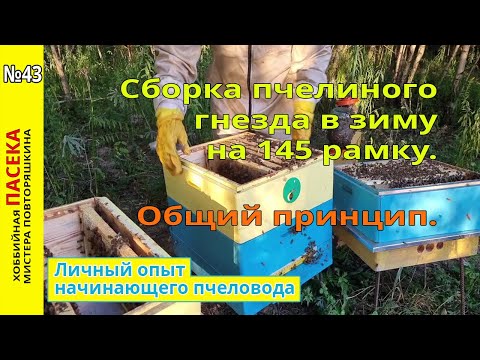 Видео: Сборка пчелиного гнезда в зиму на 145 рамку. Общий принцип. Опыт начинающего пчеловода