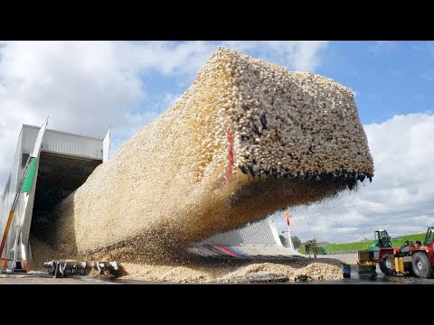 Видео: Безумный План Бразилии, Который Сработал