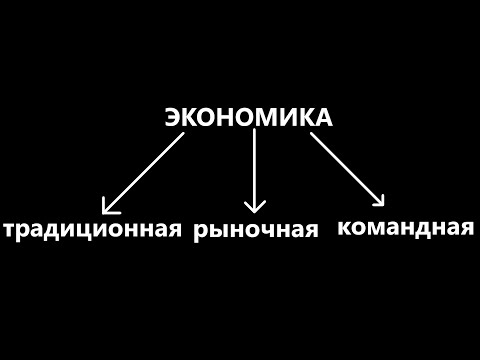 Видео: Обществознание 8 класс: типы экономических систем (с визуализацией в Minecraft)