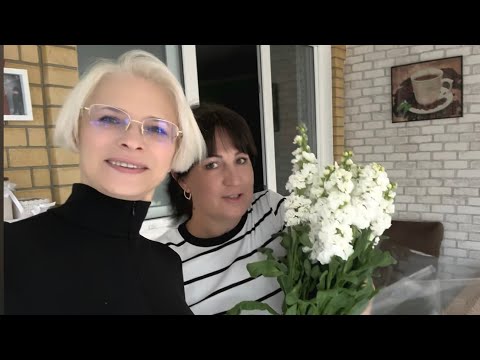 Видео: ✨️Наконец-то мы встретились ✨️Хроника событий ✨️