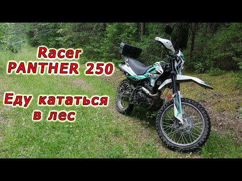 Видео: Racer PANTHER 250 // Прохват по лесу