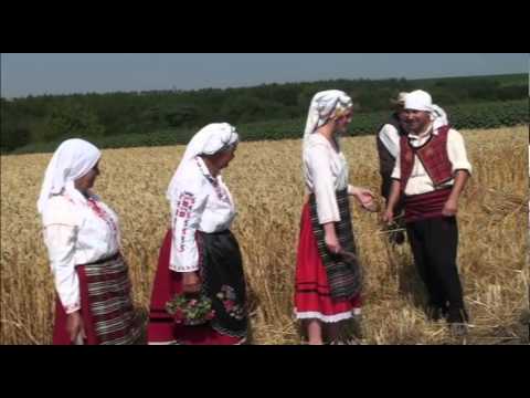 Видео: По жътва