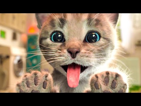 Видео: ПРИКЛЮЧЕНИЕ МАЛЕНЬКОГО КОТЕНКА №3. ИГРА про говорящих котят на канале Хвостик ТВ