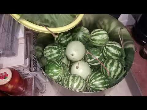 Видео: Как засолить арбузы на зиму и не бороться с плесенью?!