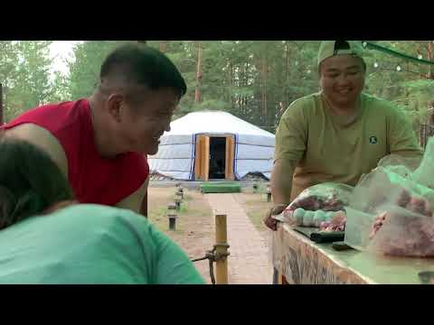 Видео: Тужийн нарс- Их гэр бүл