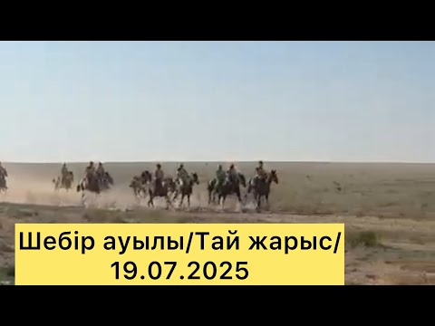 Видео: Шебір ауылы/Тай жарыс/19.07.2025