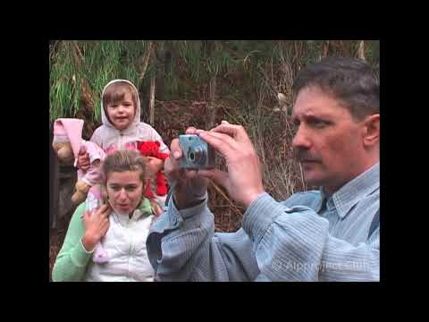 Видео: Увидеть Австралию-Часть 2//Под Южным Крестом