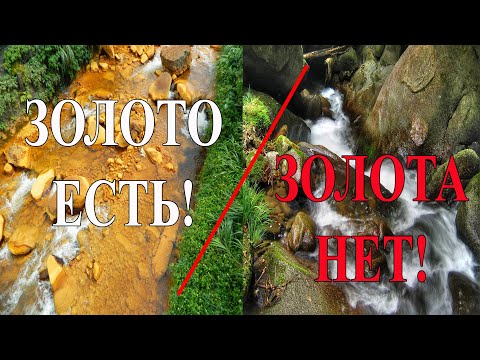 Видео: Золото есть/золота нет.