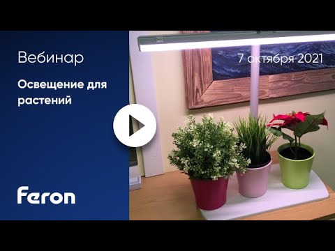 Видео: Feron: вебинар "Освещение для растений"