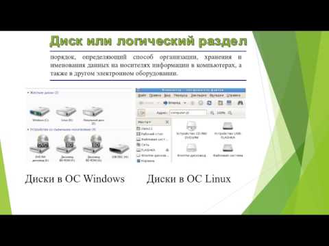 Видео: Информатика    Файлы и файловая система