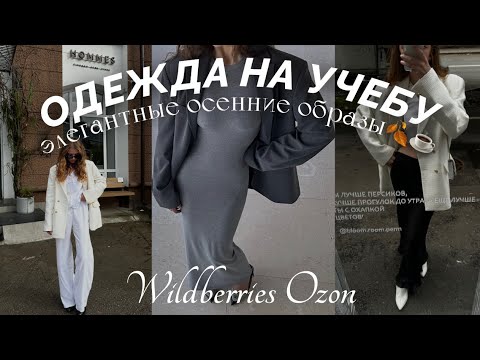 Видео: Одежда на учебу с Wildberries и Ozon / элегантные осенние образы🍂☕️ распаковка