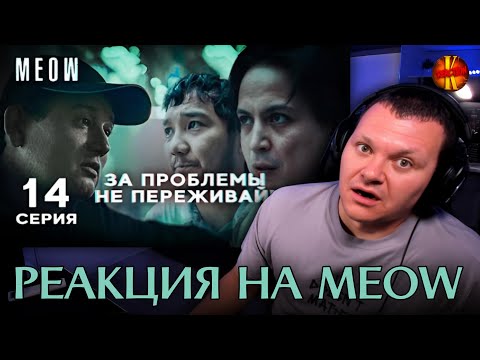 Видео: MEOW - 14 серия |  МЯУ - 14 серия | каштанов реакция