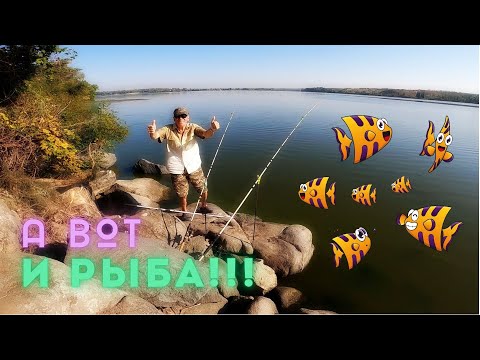 Видео: Рыбалка на сложном рыболовном месте, но с рыбой || Рыбалка с берега Днепра на донку