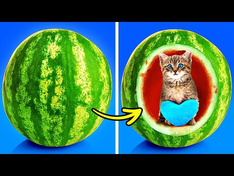 Видео: ПРОСТЫЕ И ОЧЕНЬ ПОЛЕЗНЫЕ ПОДЕЛКИ ДЛЯ ВАШИХ ЛЮБИМЫХ ПИТОМЦЕВ