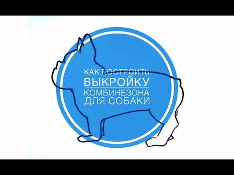 Видео: Как построить Выкройку Комбинезона для собаки. пример на французском бульдоге.