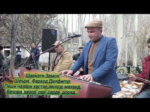 Видео: Шавкати Замон,17-11-2024 Ноҳияи Айни, деҳаи Чоре, тӯй муборак бошад!