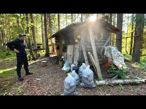 Видео: В Глухую Таёжную Избушку за ЧАГОЙ на Иж Юпитер 3! 100 килограмм Чаги!