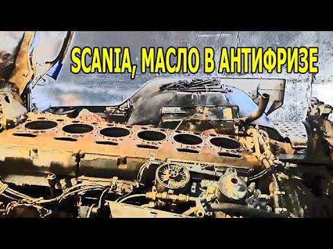 Видео: Ремонт двигателя от SCANIA, масло попадает в антифриз!