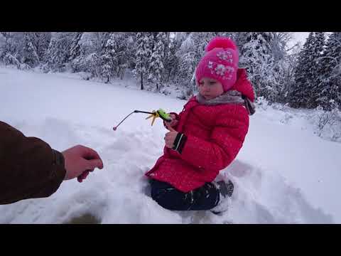 Видео: Семейный отдых на избе в глухой тайге! "мой ЛАЙФ канал".