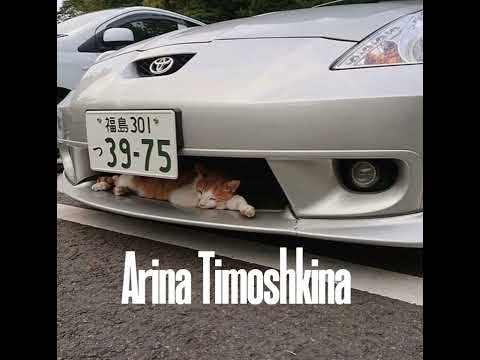 Видео: Тимати - Мага slowed