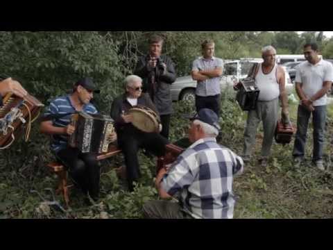 Видео: "Поёт гармонь над Битюгом". Фрагменты.