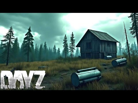 Видео: КАК Я ВИЖУ DAYZ