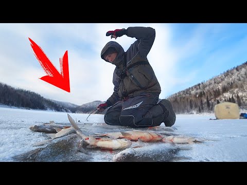 Видео: НЕ ЛЕЗЕТ В ЛУНКУ! РЕАЛЬНЫЕ КОНИ! Рыбалка с Барбосом ч.2