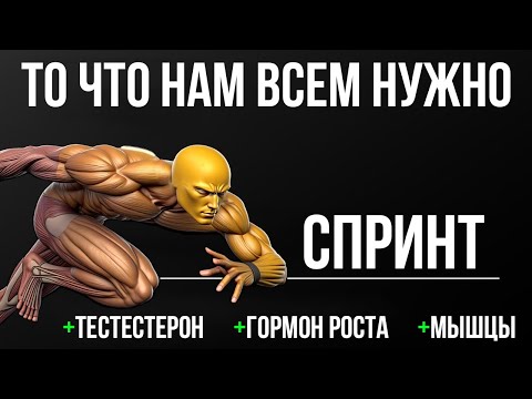 Видео: СПРИНТ. ТО ЧТО НАМ ВСЕМ НУЖНО