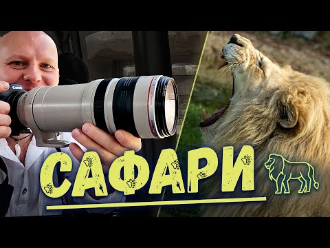 Видео: САФАРИ ДУБАЙ Тебе точно захочется туда поехать! Львы, Тигры, Фламинго, Лемуры и Попугаи