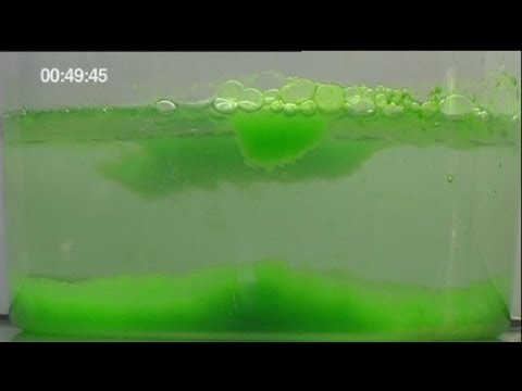 Видео: euronews science - Электричество из водорослей