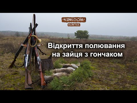 Видео: Відкриття полювання на зайця з гончаком.