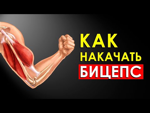 Видео: Как Быстро Накачать Большой Бицепс?