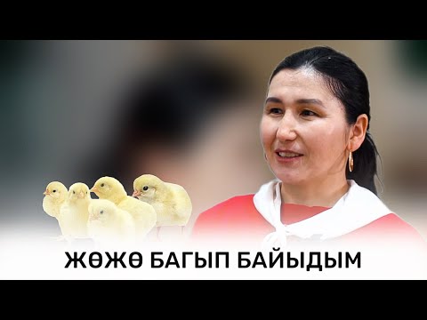 Видео: ӨЗ ҮЙҮНҮН ЖЕРТӨЛӨСҮНДӨ ИШКЕРДИК БАШТАГАН ГҮЛЖАН КОЙЧУБАЕВА | АРУУЗАТ