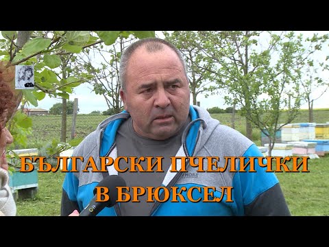 Видео: БЪЛГАРСКИ ПЧЕЛИЧКИ В БРЮКСЕЛ