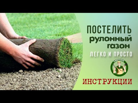 Видео: Самый простой и бюджетный способ Как постелить рулонный газон