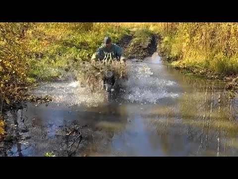 Видео: На ЛЕГЕНДЕ СССР-Планете5 в ЛЕС за ОСЕННИМ Деликатесом!!!! /ПЕНЬ 5 ВЕДЕР Опят  БИТКОМ!
