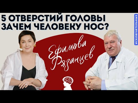 Видео: 5 отверстий головы. Зачем человеку нос. В.Л. Ефимова, С. Рязанцев.