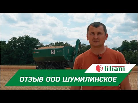 Видео: Бункер-перегрузчик Лилиани на уборке в ООО Шумилинское 2022