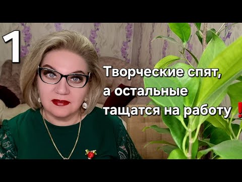Видео: Творческие спят, а остальные тащатся на работу❗️